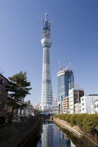 skay_110128.jpg
